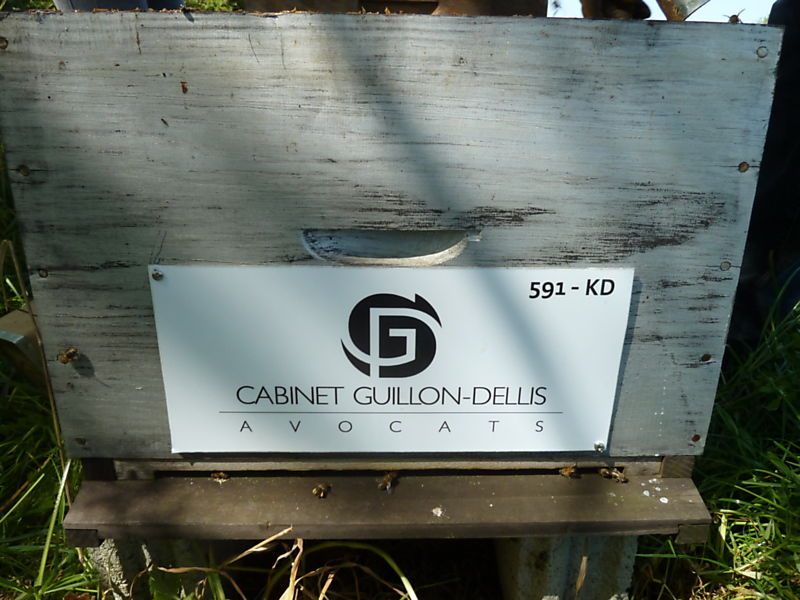 La ruche Cabinet guillon-dellis