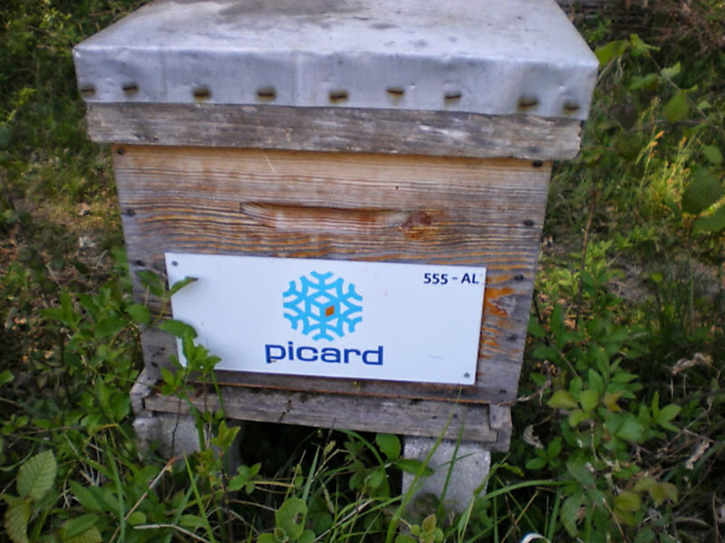 La ruche PICARD
