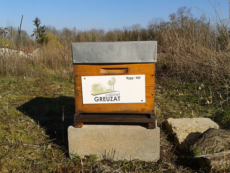 La ruche Cabinet GREUZAT