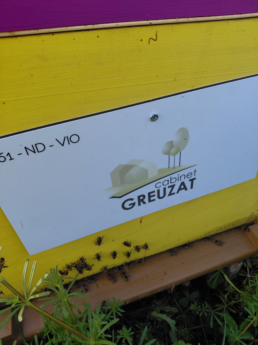 La ruche Cabinet GREUZAT