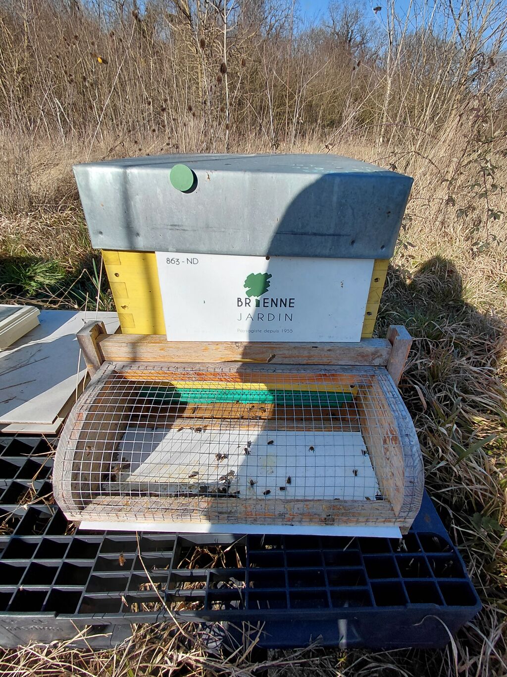 La ruche BRIENNE JARDIN