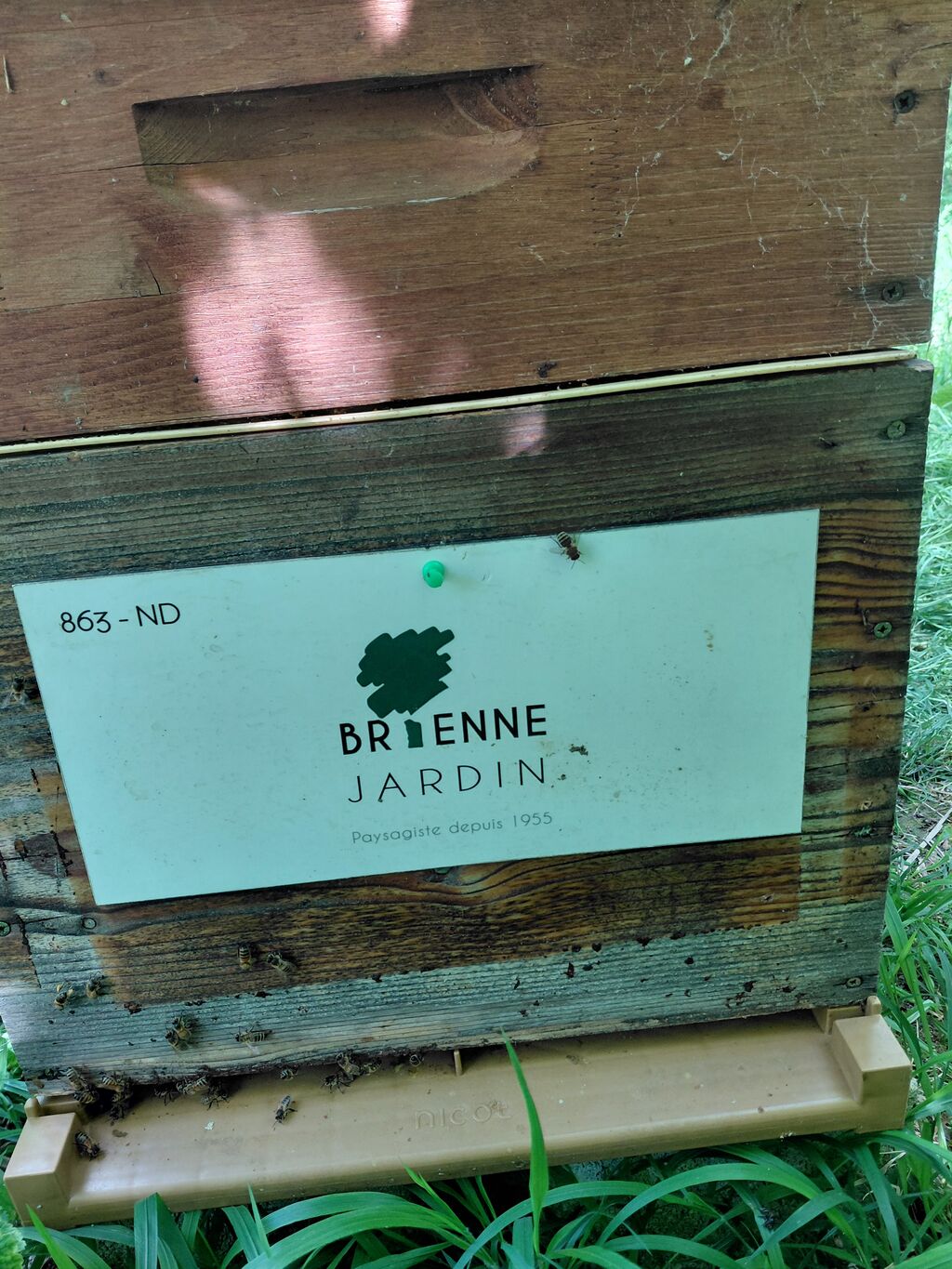 La ruche BRIENNE JARDIN