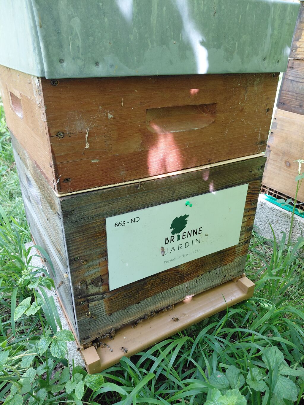 La ruche BRIENNE JARDIN