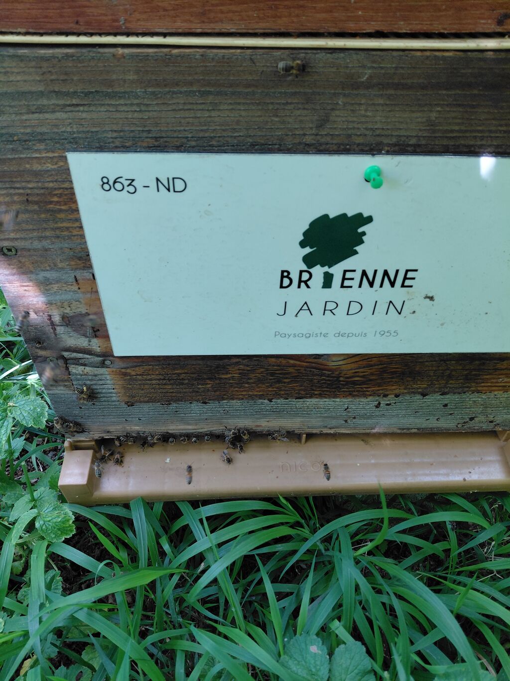 La ruche BRIENNE JARDIN