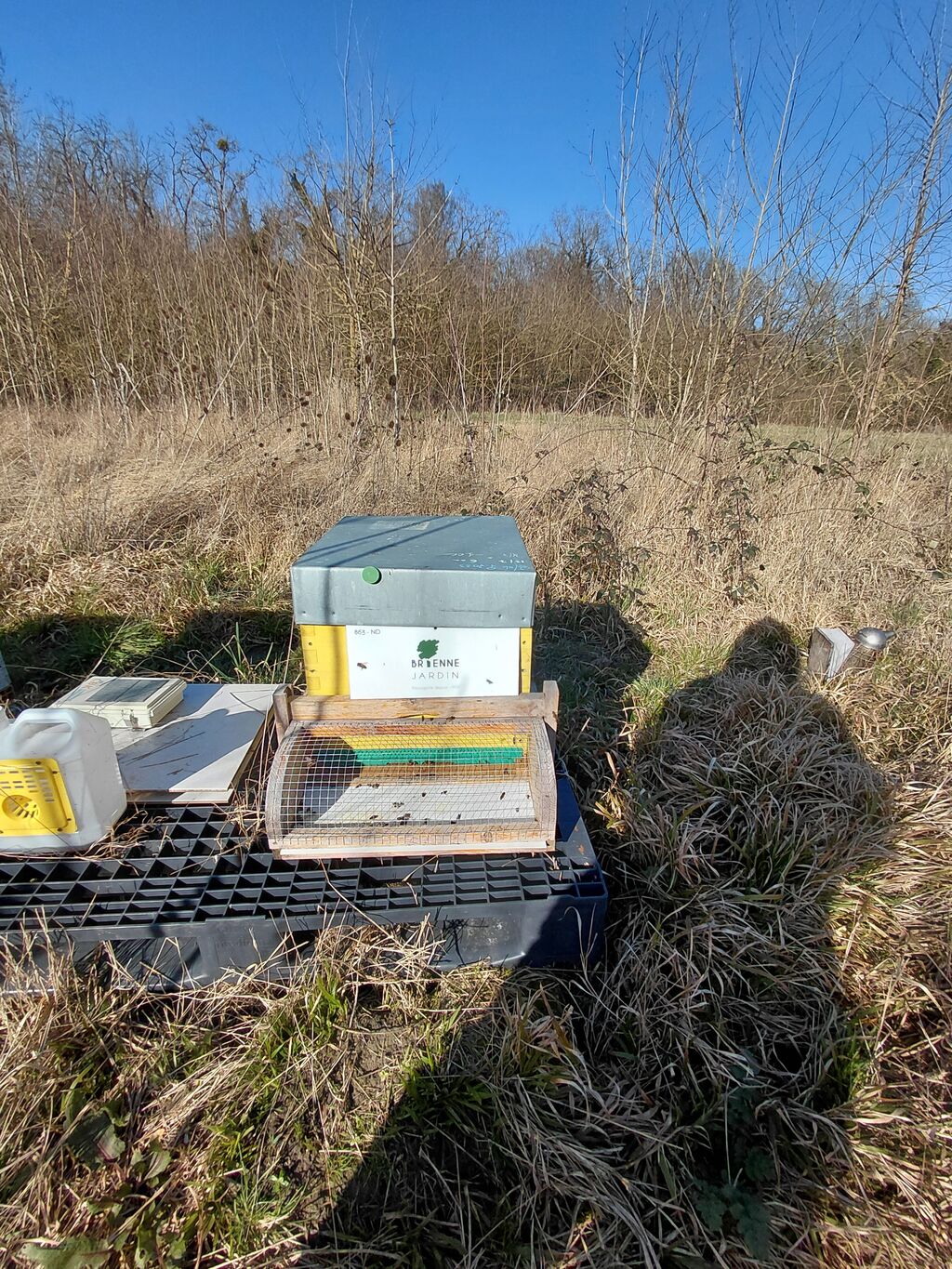 La ruche BRIENNE JARDIN