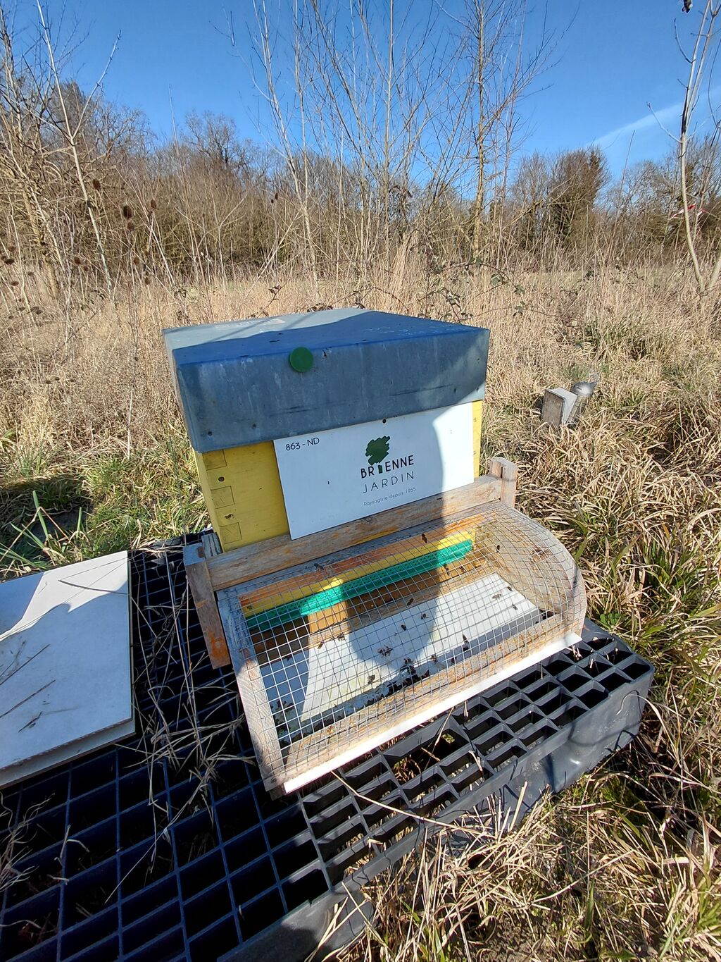 La ruche BRIENNE JARDIN