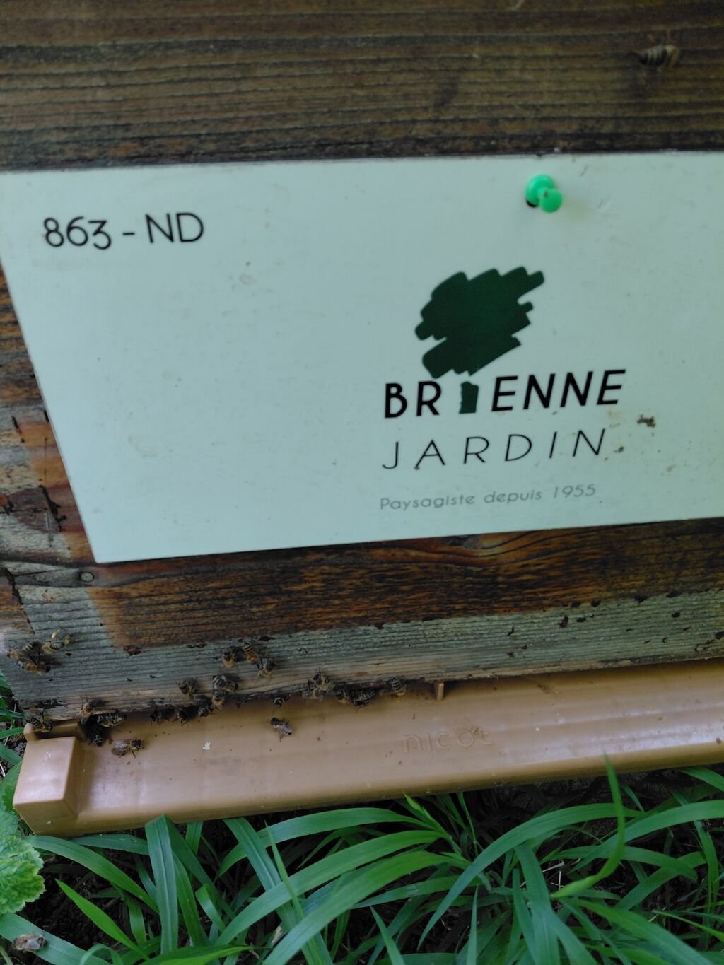 La ruche BRIENNE JARDIN