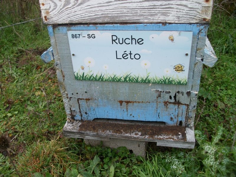 La ruche 