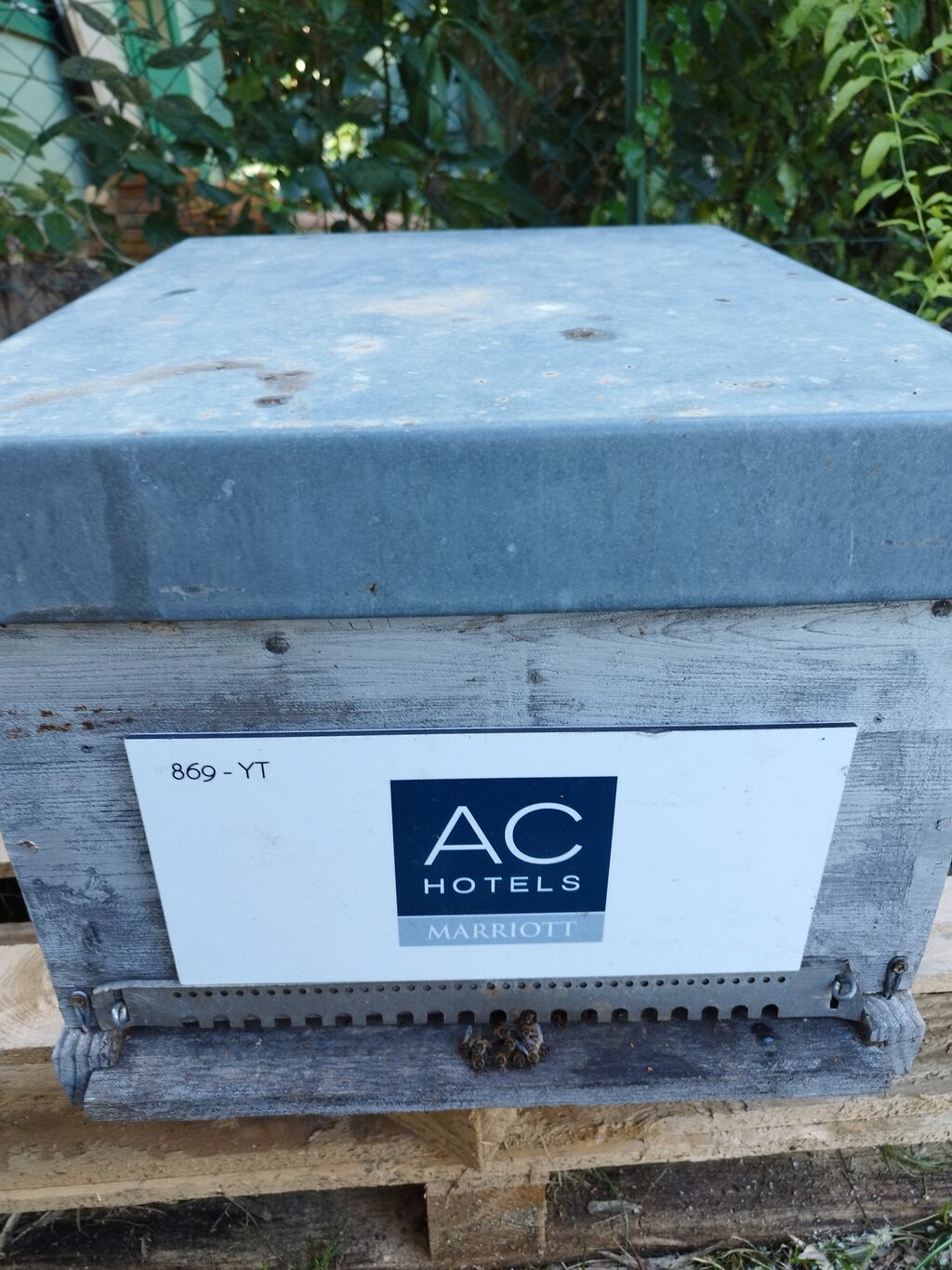 La ruche AC Hotel Ambassadeur Antibes - Juan Les Pins