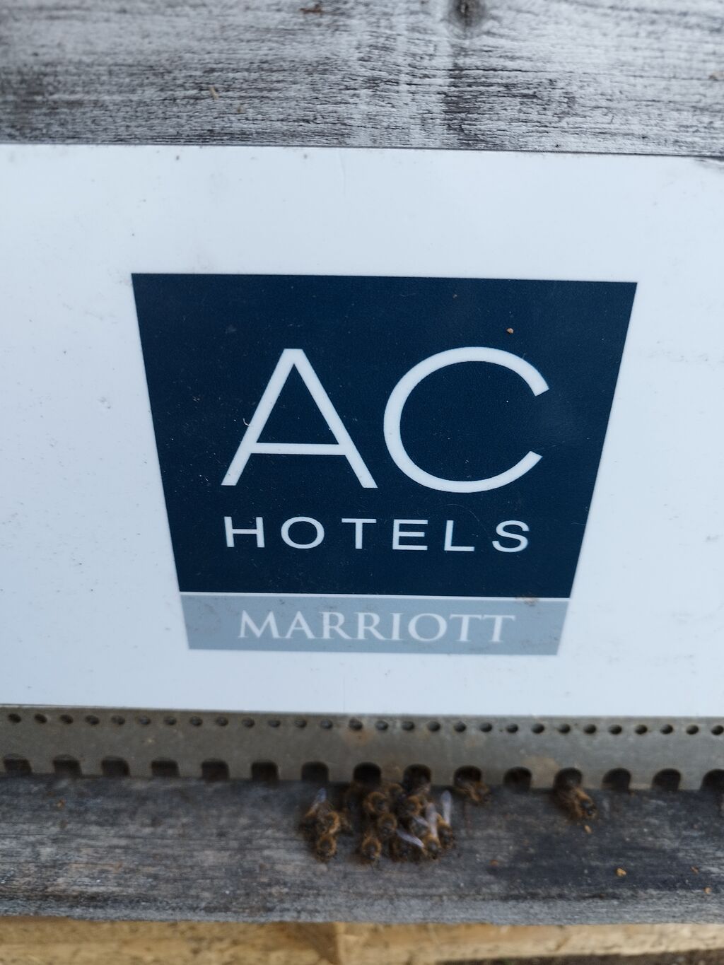 La ruche AC Hotel Ambassadeur Antibes - Juan Les Pins