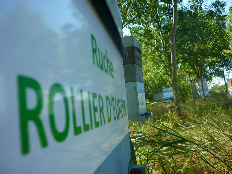 La ruche Rollier d europe
