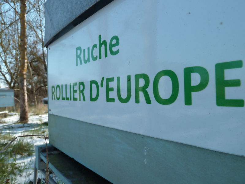 La ruche Rollier d europe