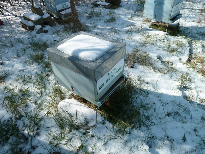 La ruche Rollier d europe