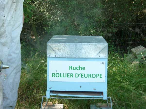 La ruche Rollier d europe