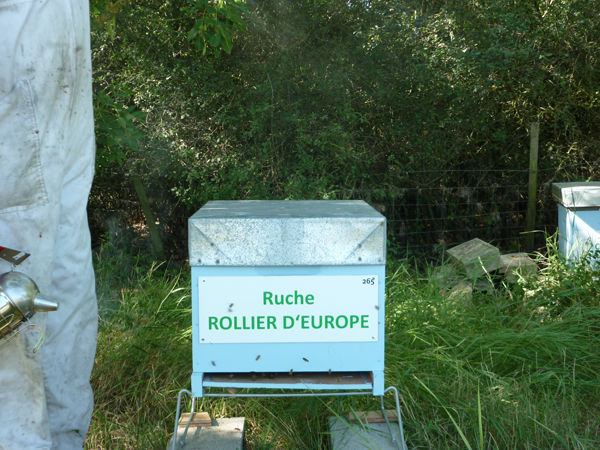 La ruche Rollier d europe