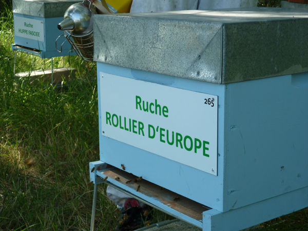 La ruche Rollier d europe