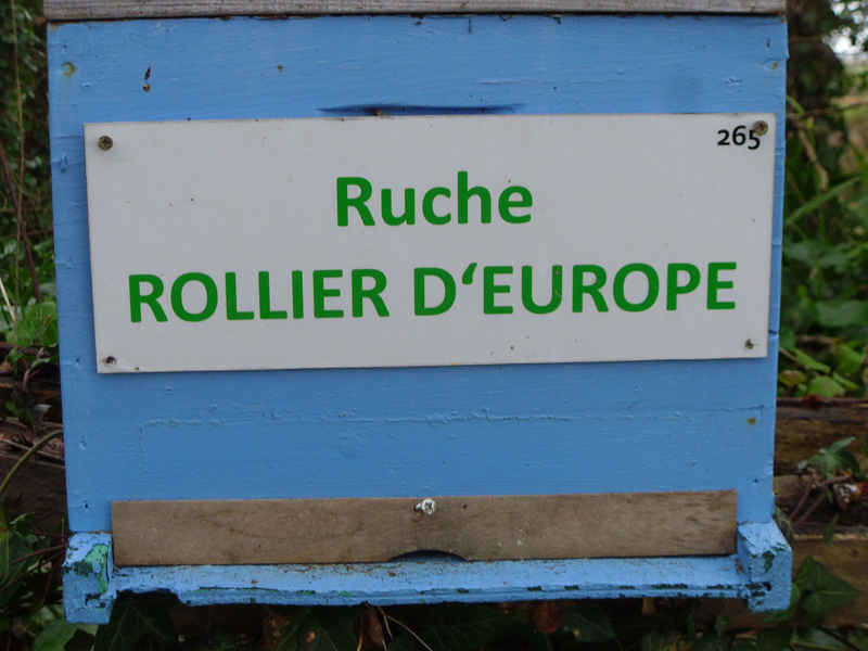 La ruche Rollier d europe