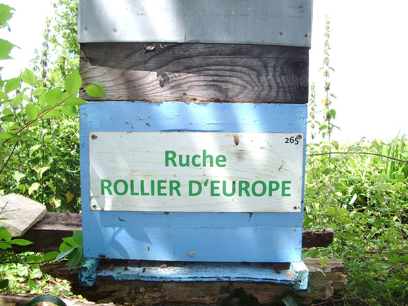 La ruche Rollier d europe