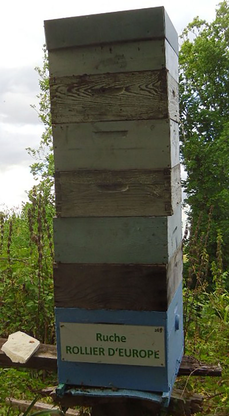 La ruche Rollier d europe