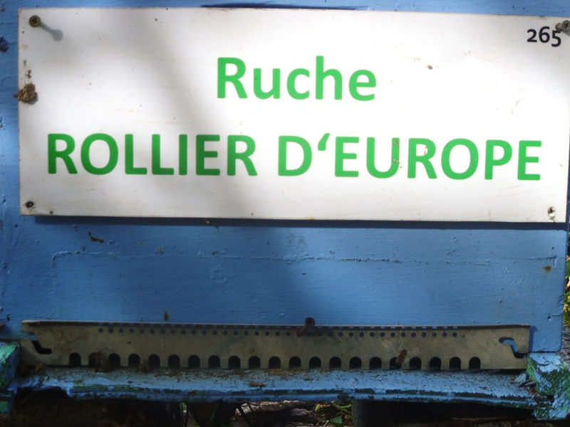 La ruche Rollier d europe