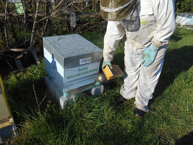 La ruche Rollier d europe