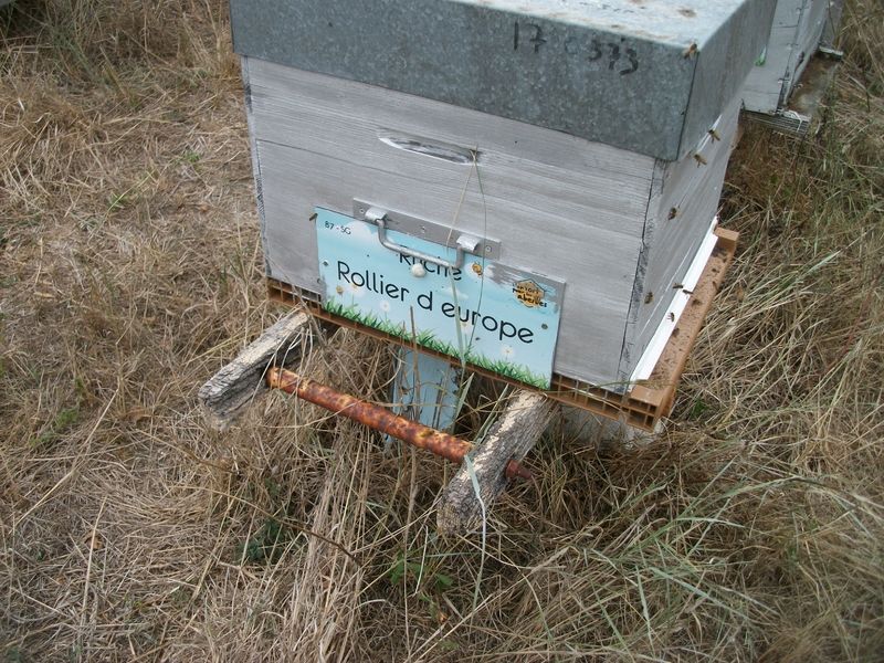 La ruche Rollier d europe