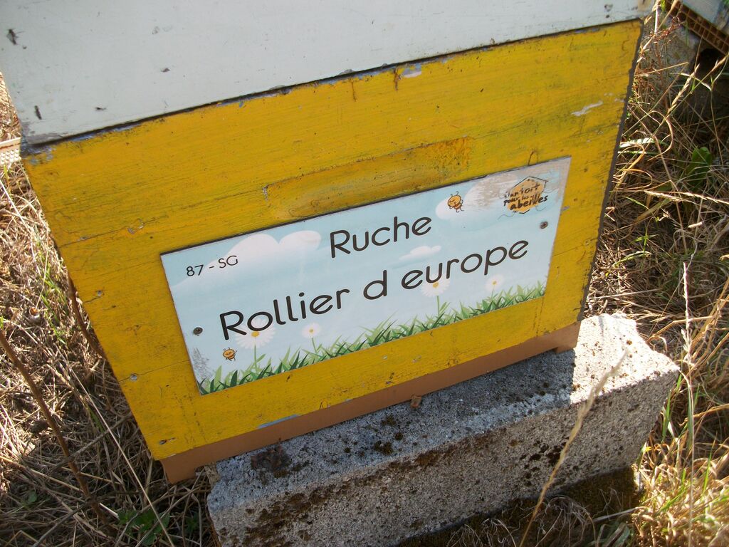 La ruche Rollier d europe