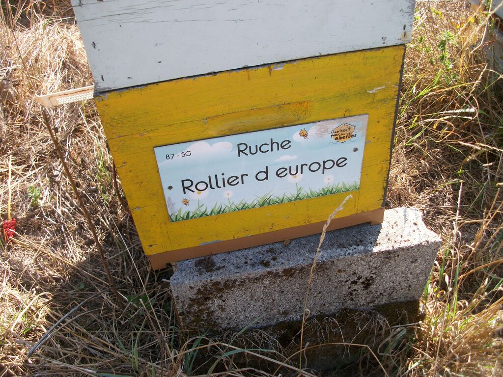 La ruche Rollier d europe
