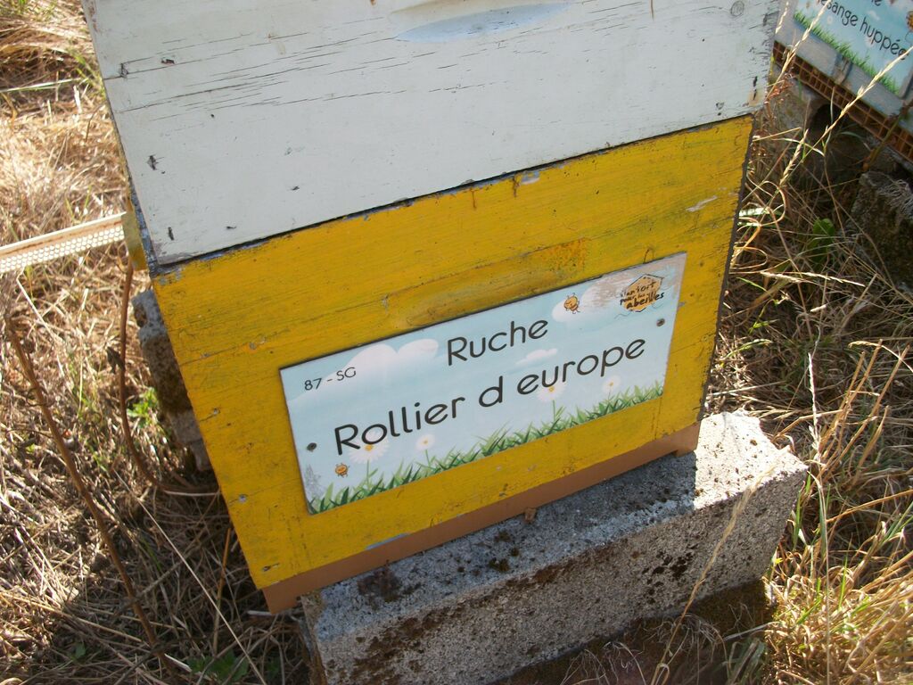 La ruche Rollier d europe