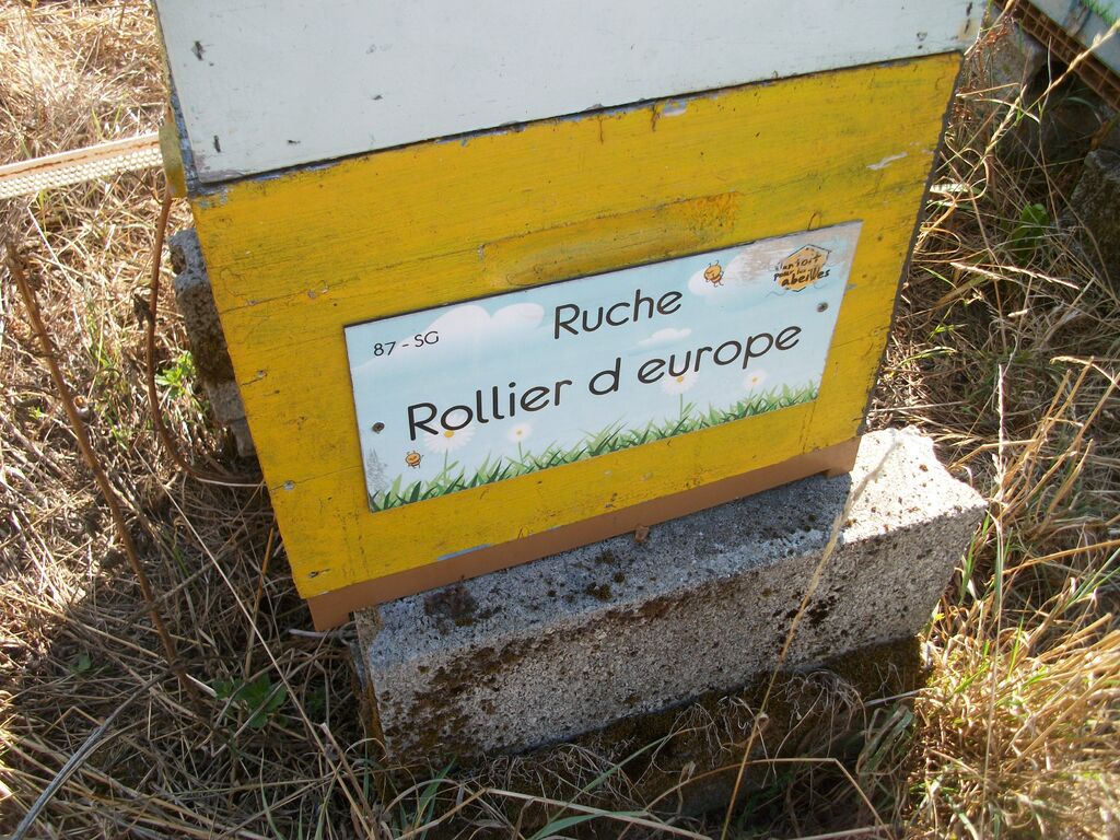 La ruche Rollier d europe