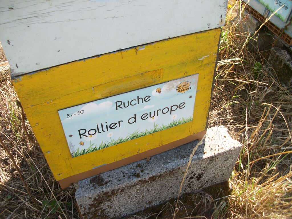 La ruche Rollier d europe