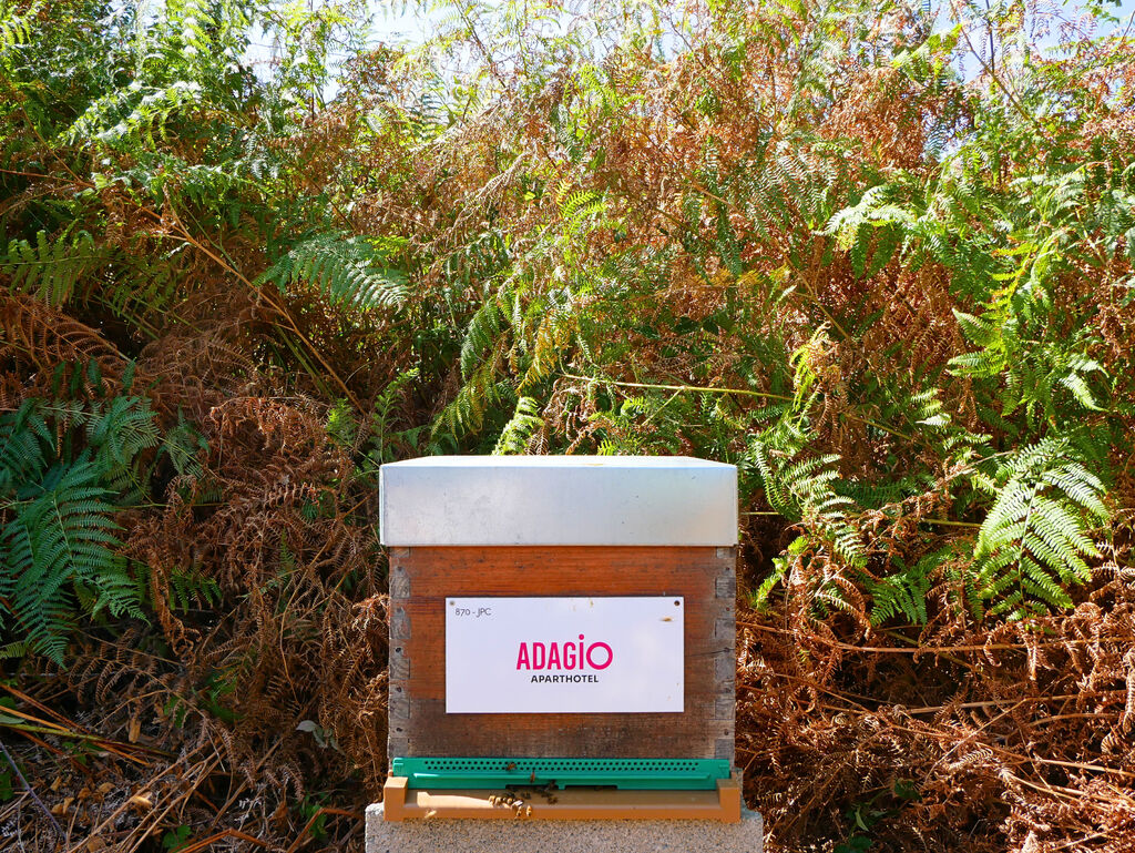 La ruche Adagio access Rennes Centre