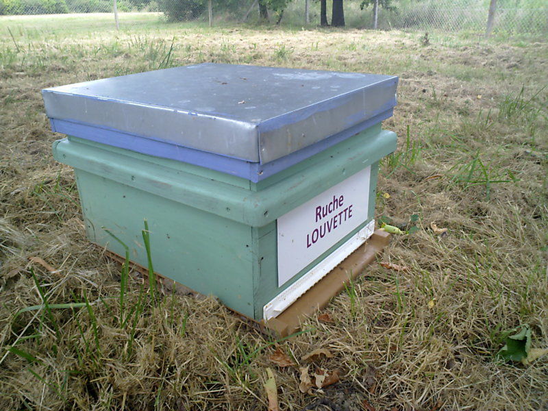 La ruche Louvette