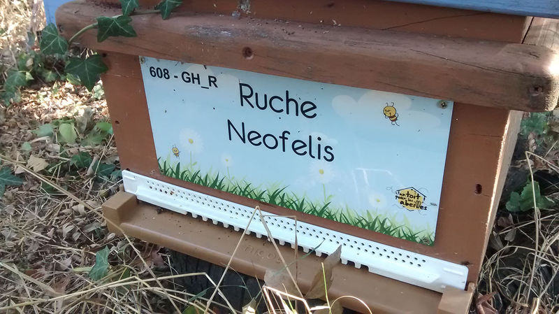 La ruche