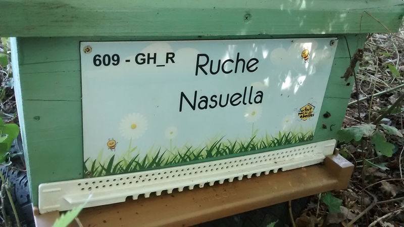 La ruche 