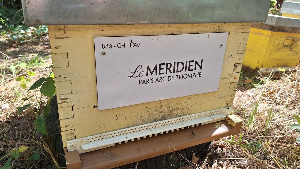 La ruche HOTEL LE MERIDIEN ETOILE