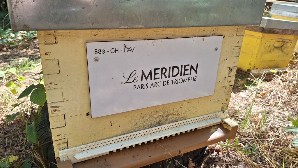 La ruche HOTEL LE MERIDIEN ETOILE