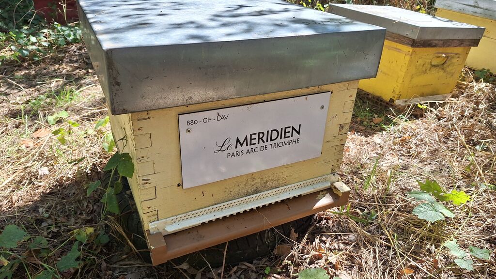 La ruche HOTEL LE MERIDIEN ETOILE