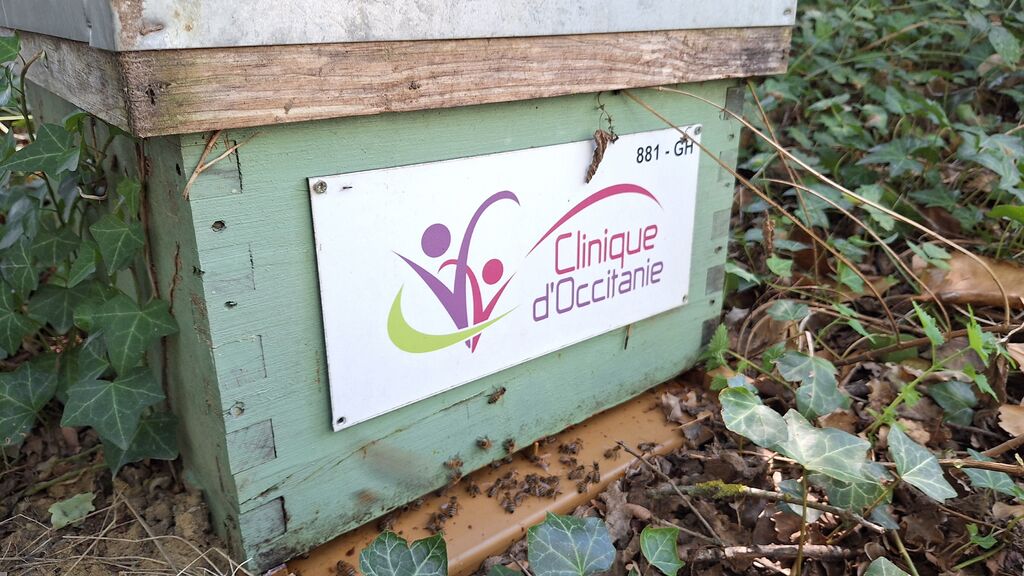 La ruche CLINIQUE D OCCITANIE