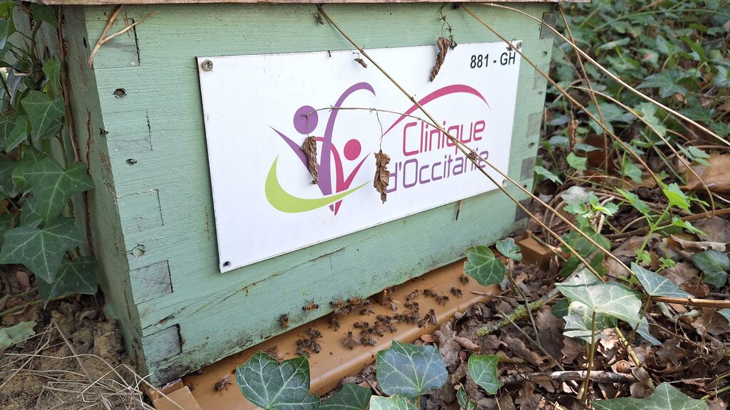 La ruche CLINIQUE D OCCITANIE