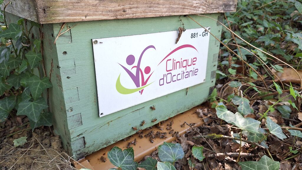 La ruche CLINIQUE D OCCITANIE
