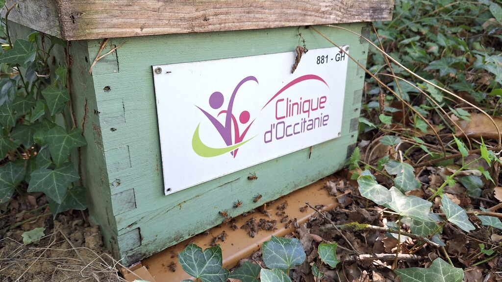 La ruche CLINIQUE D OCCITANIE