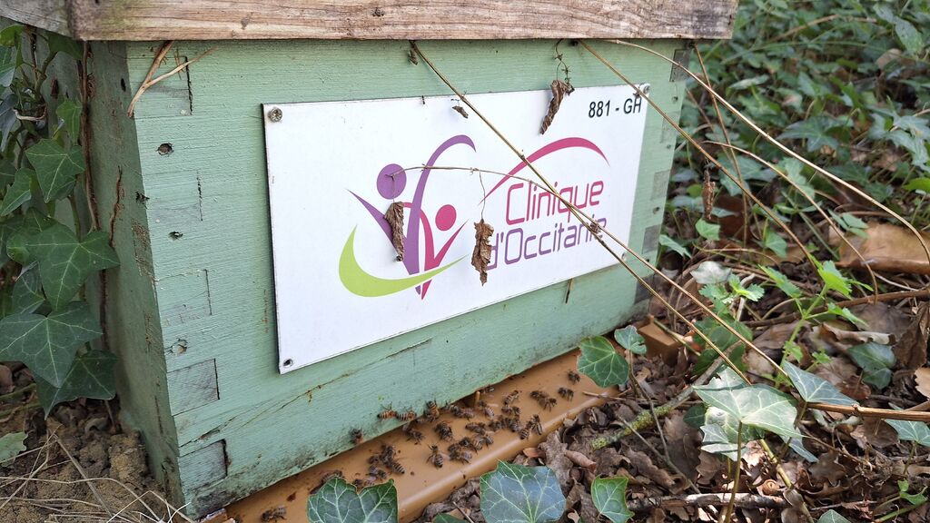 La ruche CLINIQUE D OCCITANIE