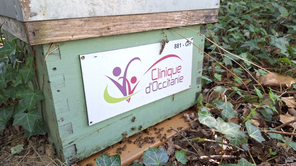 La ruche CLINIQUE D OCCITANIE