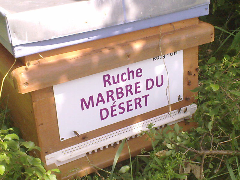 La ruche
