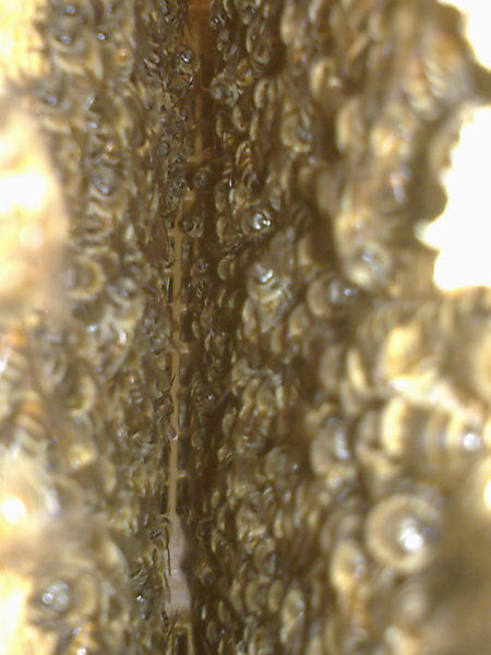 La ruche Polygone gris