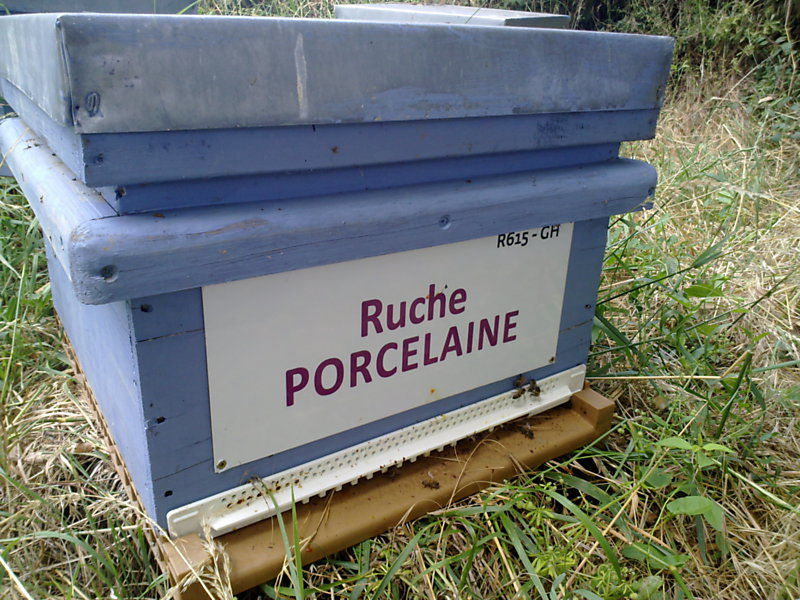 La ruche