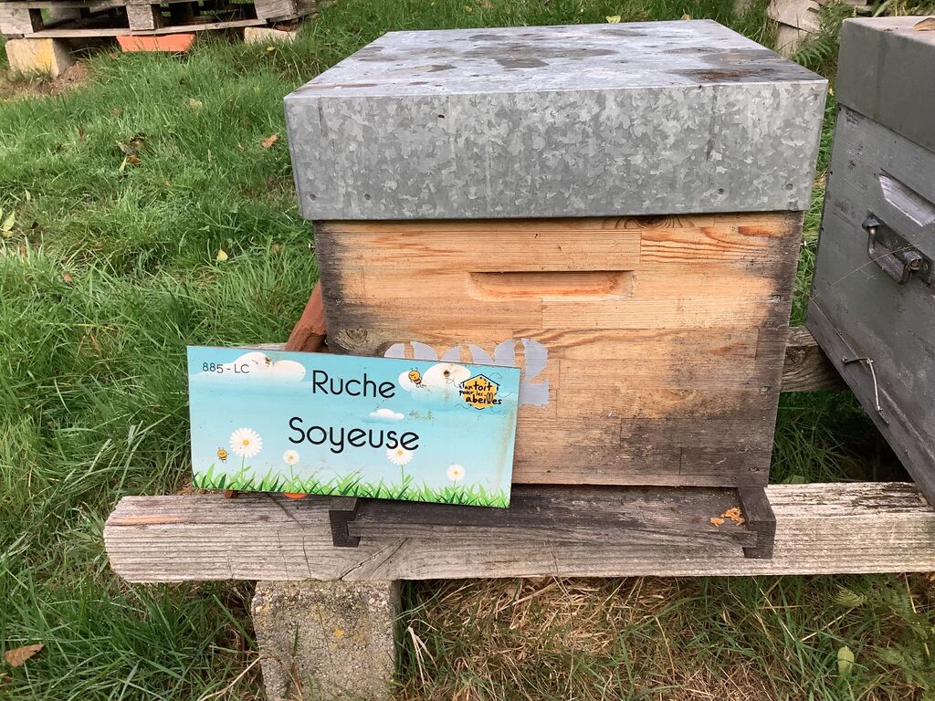La ruche Soyeuse