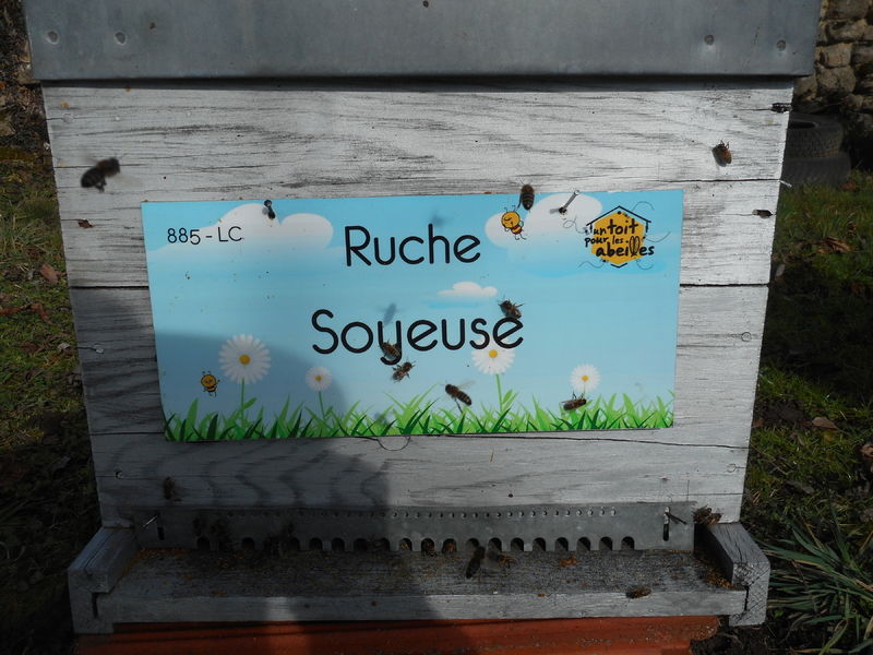 La ruche Soyeuse