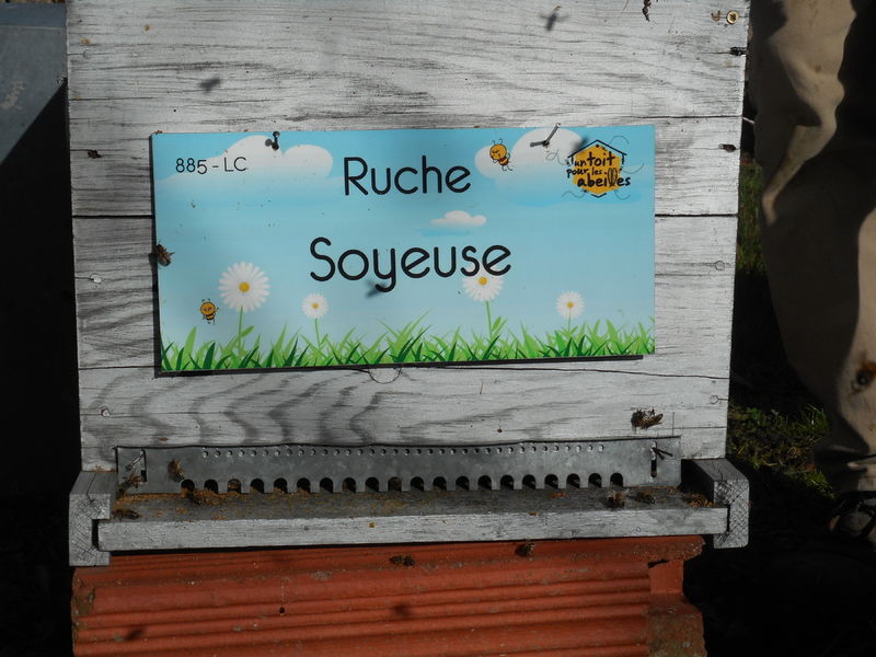 La ruche Soyeuse